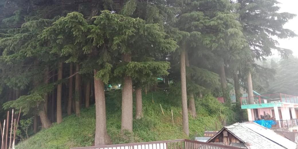 Hotel Forest View Lāhri Esterno foto
