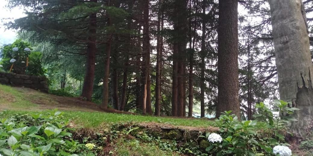 Hotel Forest View Lāhri Esterno foto